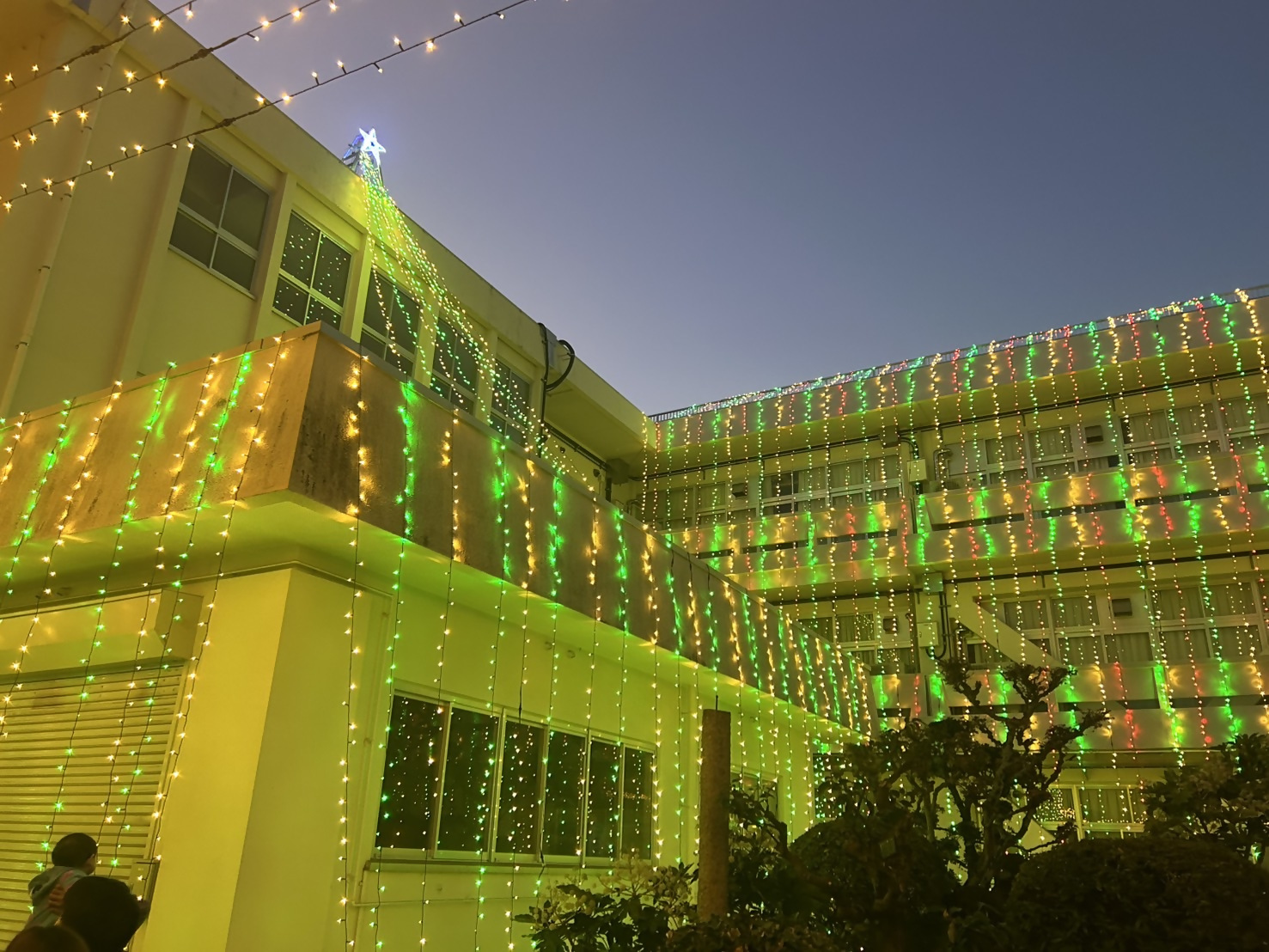 イルミネーション