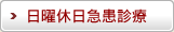 日曜休日急患診療