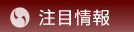 注目情報
