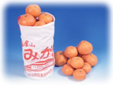 mikan