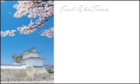 観光名刺（赤穂城と桜）