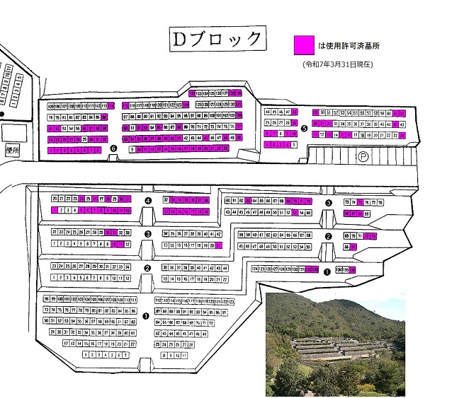 Dブロック使用状況s